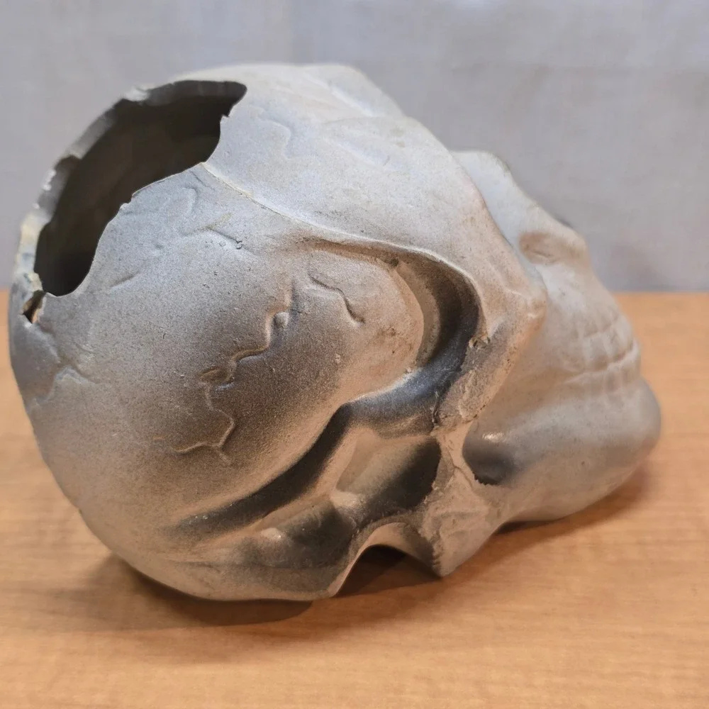 Plastic Human Skull Small 5
